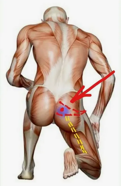 [Александр Волоткевич] Красивые ягодицы. Импиджмен_0.png
